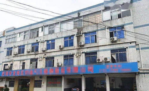 東莞一工廠遭遇“螞蟻搬家式”盜竊，12萬元清真食品不翼而飛，疑有內(nèi)鬼參與