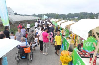 四大主題活動慶豐收，2021年天府新區(qū)農(nóng)民豐收節(jié)圓滿舉辦