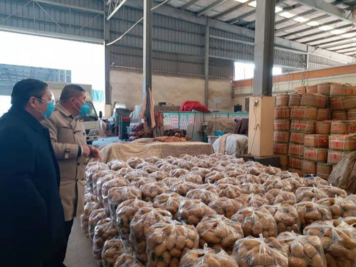 連云港農(nóng)副產(chǎn)品批發(fā)市場暢通本地蔬菜銷售通道，助力農(nóng)副產(chǎn)品高效流通